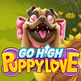 Go High Puppy Love slot logo by RubyPlay at Luckera Casino